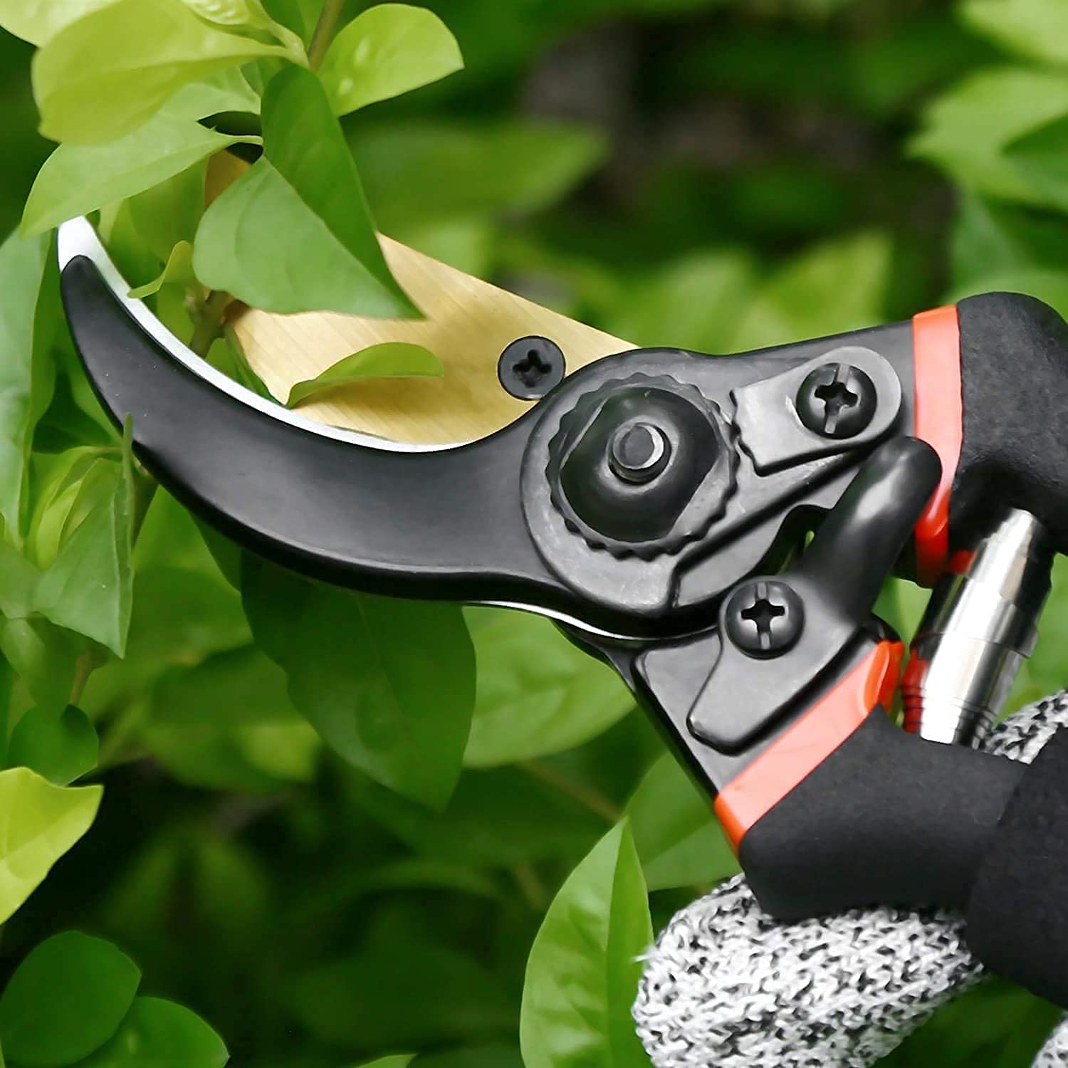 JD FRESH 8 Inch Heavy Duty Gardening Scissor/Plant Cutter for Garden/Pruners for Plants/Branch Cutter for Plants/Flower Cutter/Secateurs/Pruning Shears (Titanium Blade, Black)