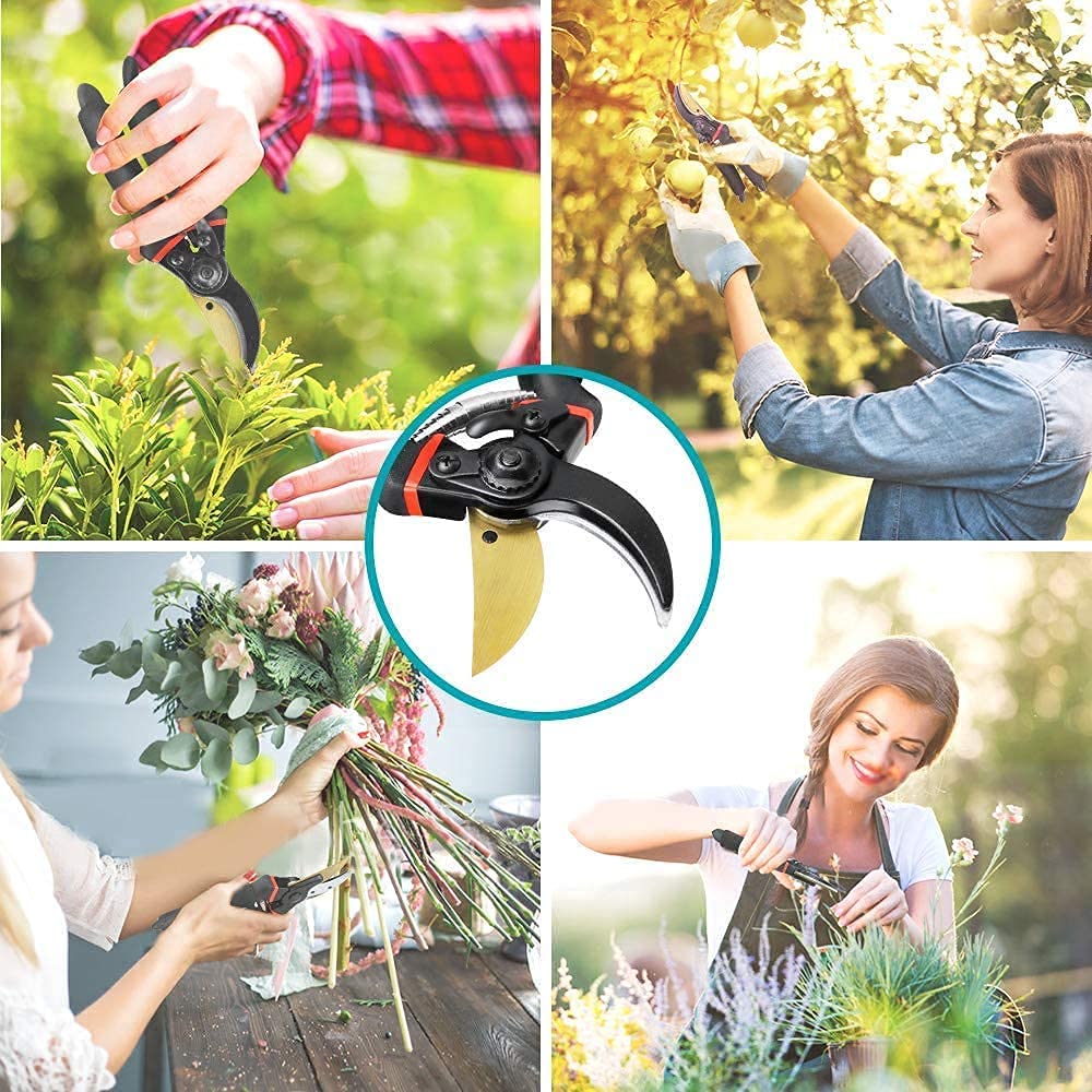 JD FRESH 8 Inch Heavy Duty Gardening Scissor/Plant Cutter for Garden/Pruners for Plants/Branch Cutter for Plants/Flower Cutter/Secateurs/Pruning Shears (Titanium Blade, Black)