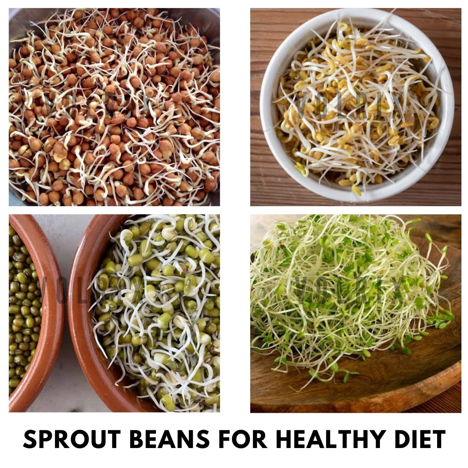 mechdel Stainless Steel Hole Puri Dabbas/Sprout Maker